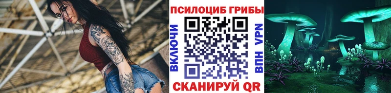 МЕГА ТОР  Краснознаменск  Галлюциногенные грибы прущие грибы 